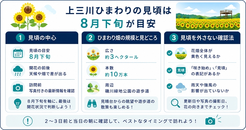上三川ひまわりの見頃は8月下旬が目安