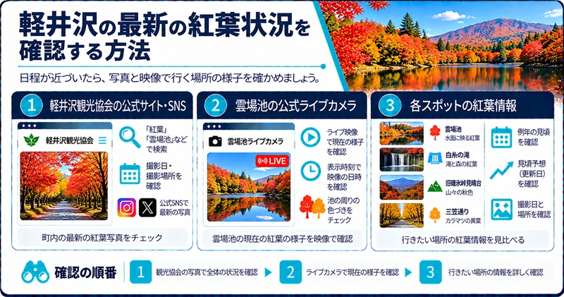 軽井沢の最新の紅葉状況を確認する方法