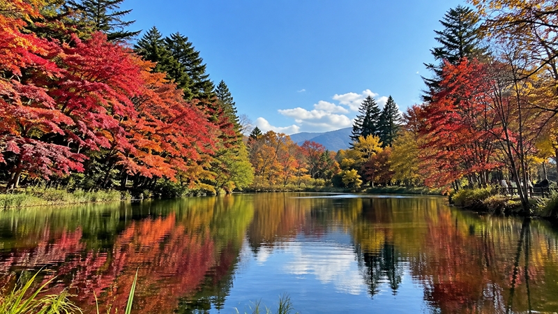 軽井沢の紅葉シーズンの見頃時期はいつからいつまで？
