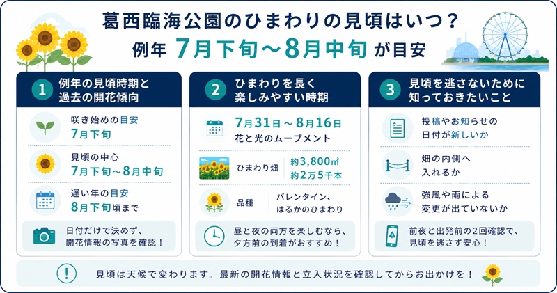 葛西臨海公園のひまわりの見頃はいつ?例年7月下旬〜8月中旬が目安
