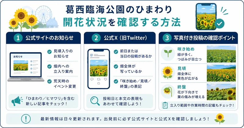 葛西臨海公園のひまわり開花状況を確認する方法