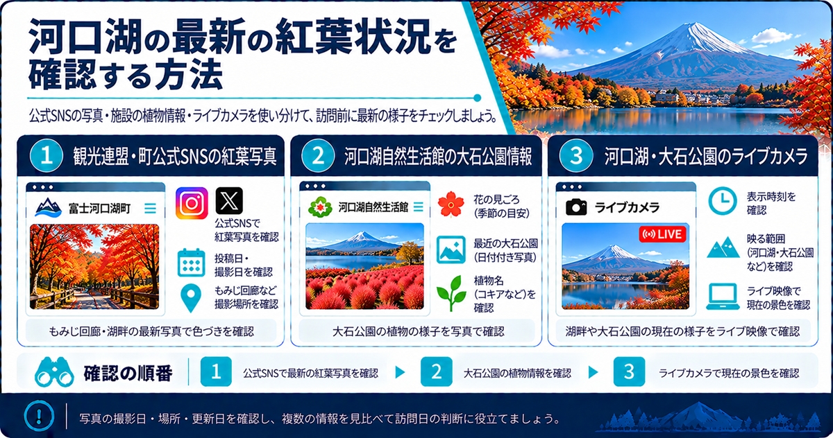 河口湖の最新の紅葉状況を確認する方法