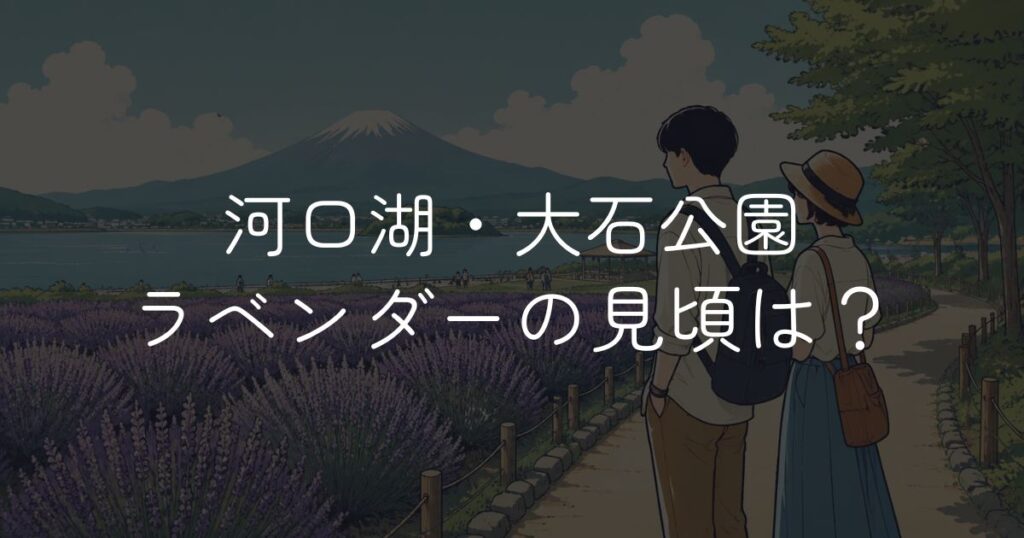 河口湖・大石公園ラベンダーの見頃はいつ？開花状況と河口湖ハーブフェスティバル