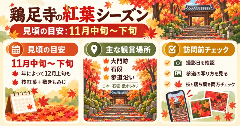 鶏足寺の紅葉シーズンは例年11月中旬〜下旬が見頃の目安