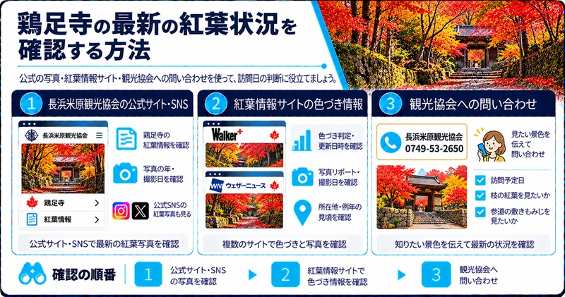鶏足寺の最新の紅葉状況を確認する方法