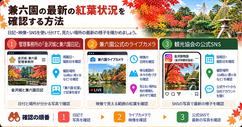 兼六園の最新の紅葉状況を確認する方法