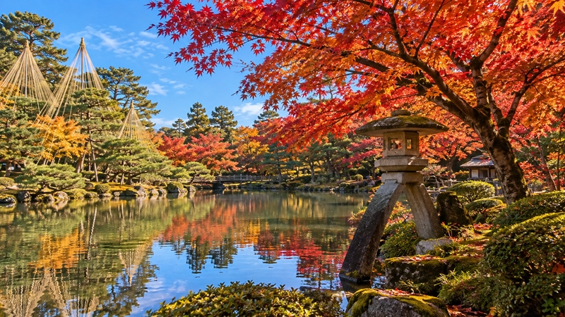 兼六園の紅葉シーズンの見頃時期はいつからいつまで?