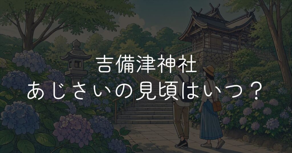 吉備津神社あじさいの見頃はいつ？開花状況とアクセスガイド