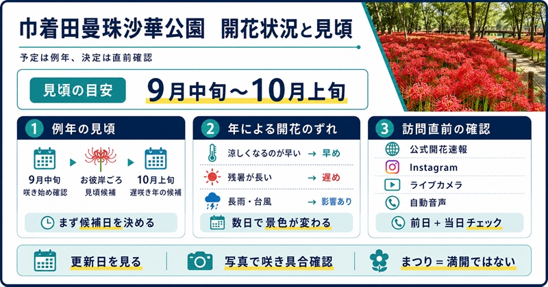 結論:巾着田曼珠沙華公園の開花状況は直前確認、見頃は例年9月中旬〜10月上旬