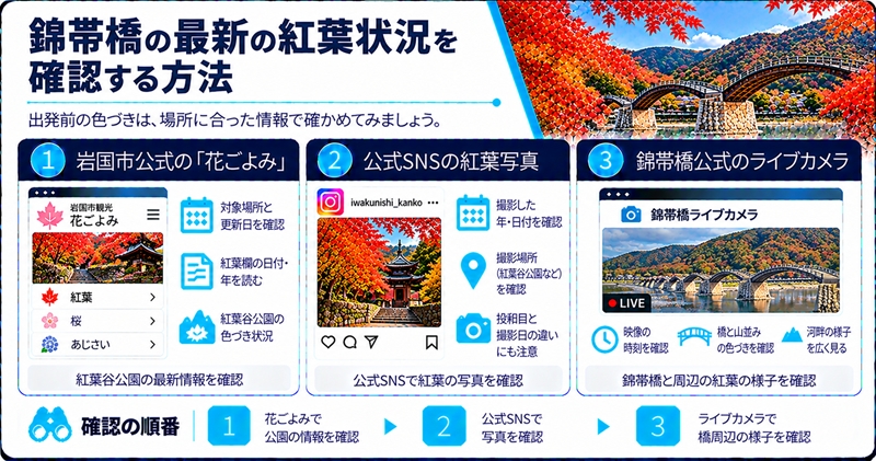 錦帯橋の最新の紅葉状況を確認する方法