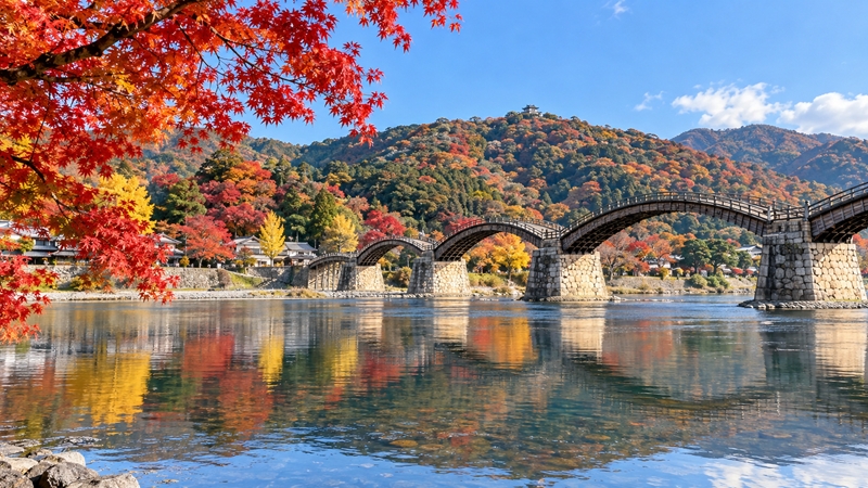 錦帯橋の紅葉シーズンの見頃時期はいつからいつまで?