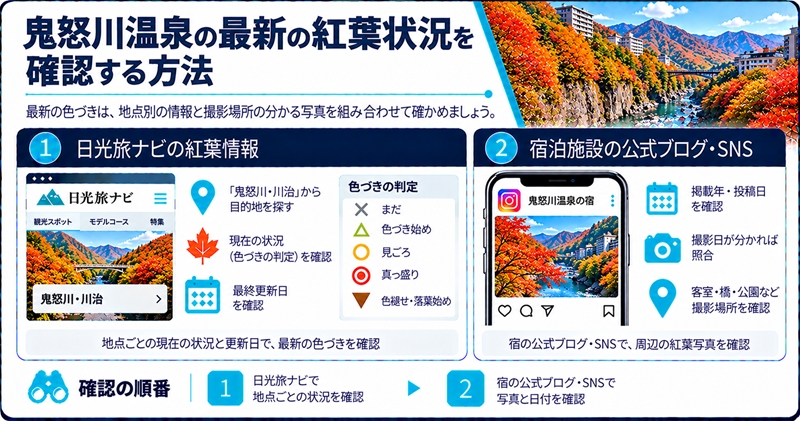 鬼怒川温泉の最新の紅葉状況を確認する方法