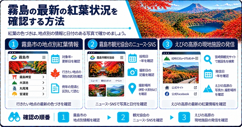 霧島の最新の紅葉状況を確認する方法