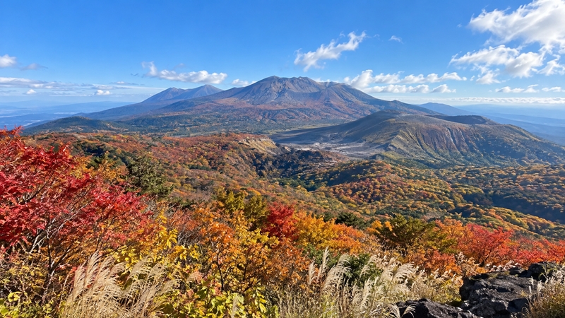 霧島の紅葉シーズンの見頃時期はいつからいつまで？