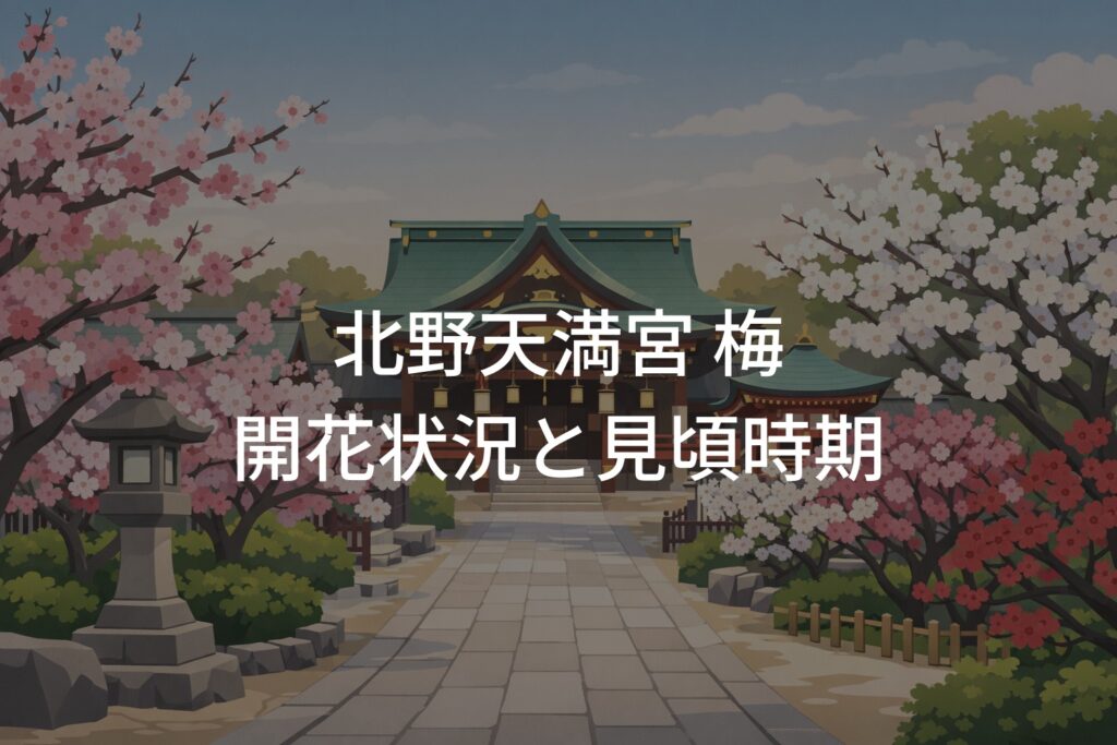 【2026年】北野天満宮 梅の開花状況と見頃時期