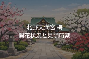 【2026年】北野天満宮 梅の開花状況と見頃時期