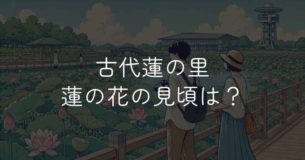 古代蓮の里の見頃はいつ？開花状況と楽しみ方