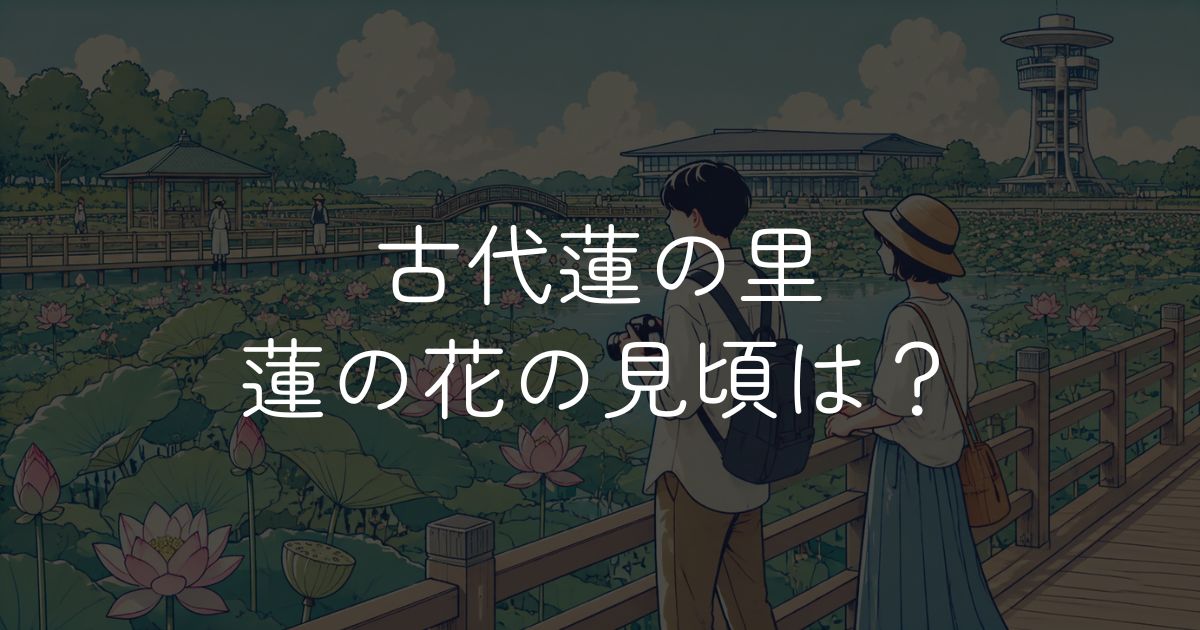 古代蓮の里の見頃はいつ？開花状況と楽しみ方