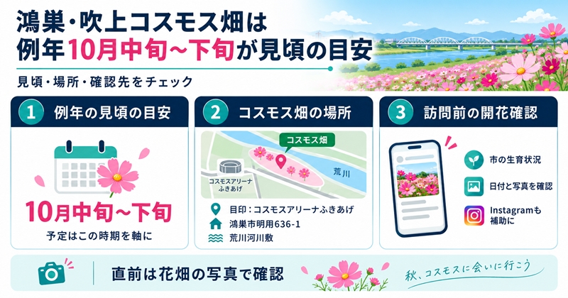 鴻巣・吹上コスモス畑は例年10月中旬〜下旬が見頃の目安