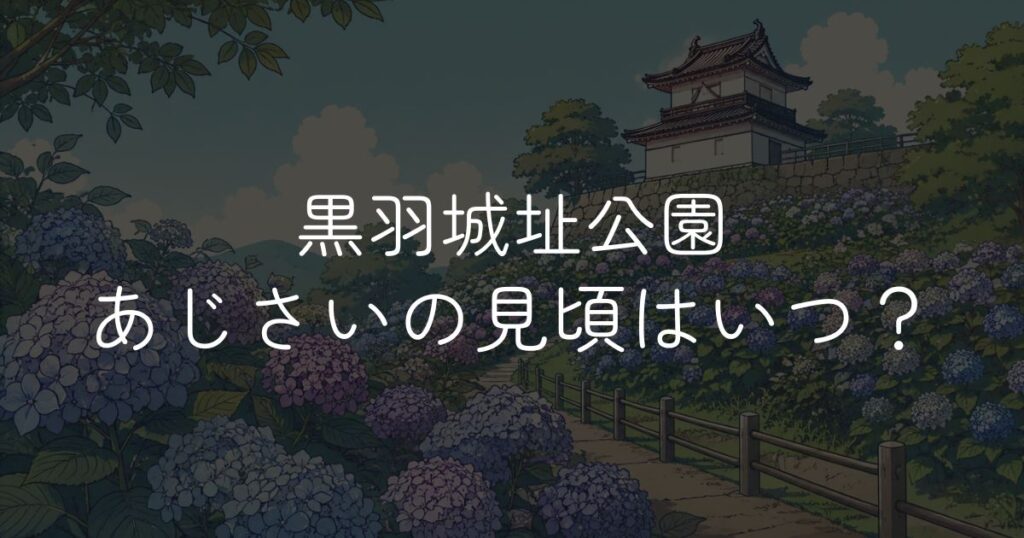 黒羽城址公園あじさいの見頃はいつ？開花状況とくろばね紫陽花まつり