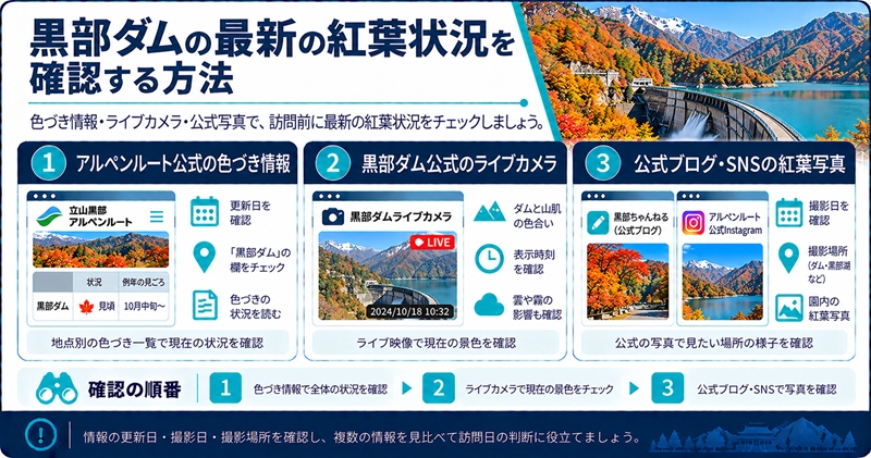 黒部ダムの最新の紅葉状況を確認する方法