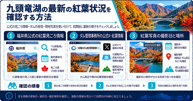 九頭竜湖の最新の紅葉状況を確認する方法