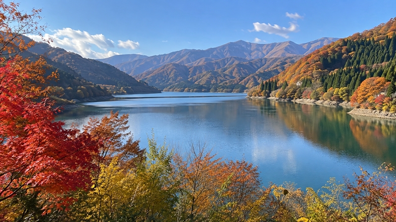 九頭竜湖の紅葉シーズンの見頃時期はいつからいつまで?