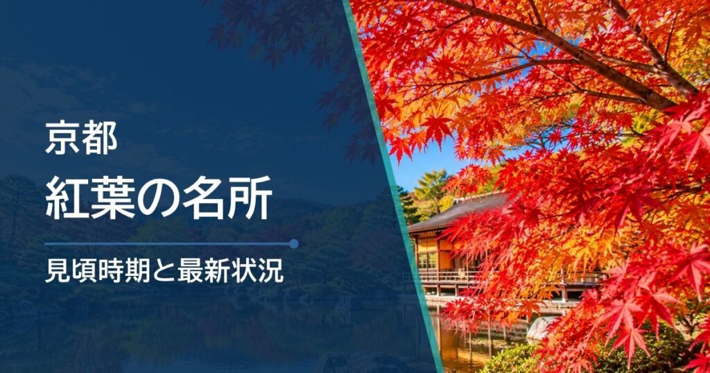 京都の紅葉、いつ行く？11月から12月の見頃と選び方