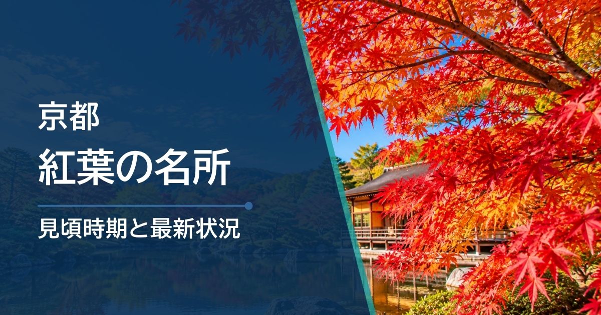 京都の紅葉、いつ行く？11月から12月の見頃と選び方