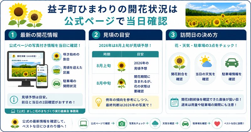 結論:益子町ひまわりの開花状況は公式ページで当日確認