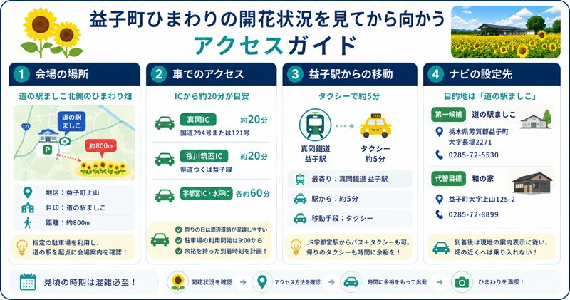 益子町ひまわりの開花状況を見てから向かうアクセス