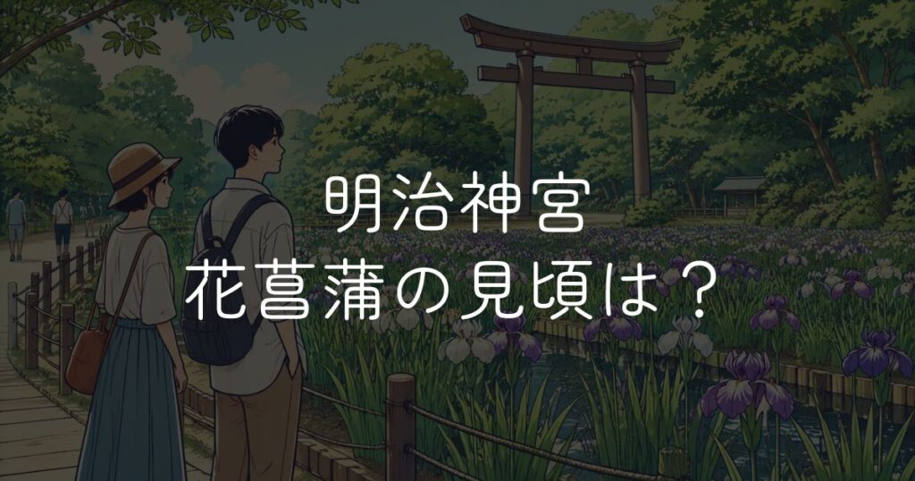 明治神宮 花菖蒲の見頃はいつ？開花状況と楽しみ方