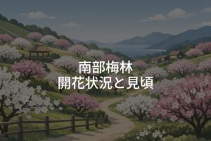 【2026年】南部梅林 開花状況は？見頃時期と楽しみ方ガイド