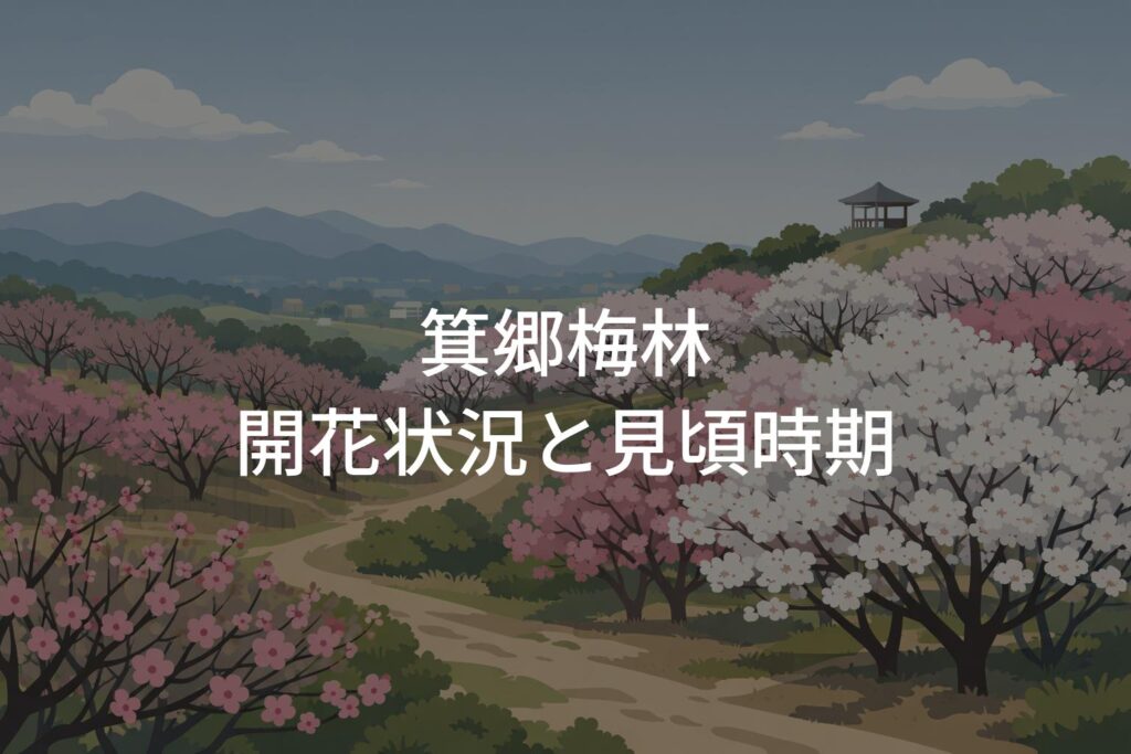【2026年】箕郷梅林の開花状況と見頃時期