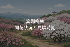 【2026年】箕郷梅林の開花状況と見頃時期