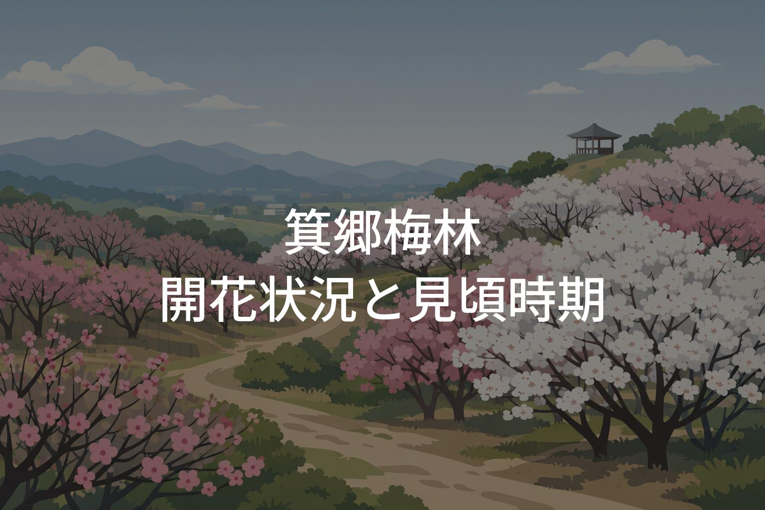 【2026年】箕郷梅林の開花状況と見頃時期