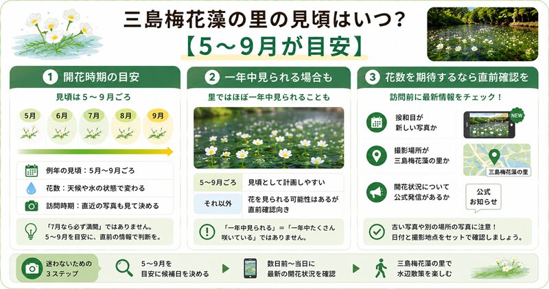 三島梅花藻の里の見頃はいつ？【5〜9月が目安】