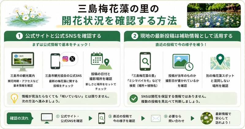 三島梅花藻の里の開花状況を確認する方法