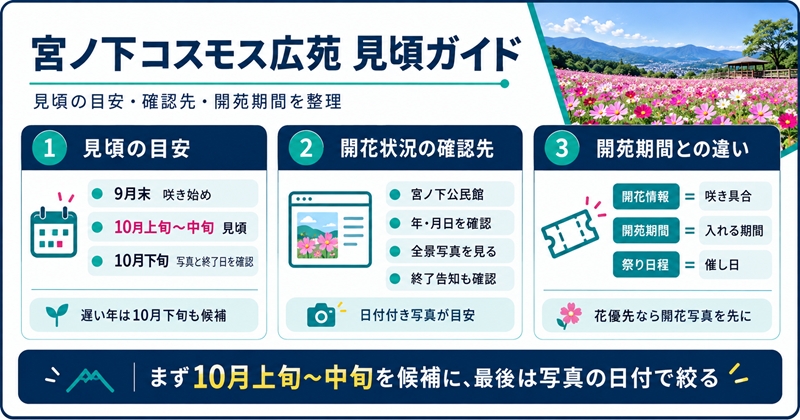 宮ノ下コスモス広苑は例年10月上旬〜中旬が見頃の目安