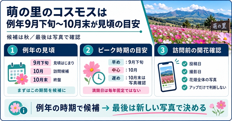 萌の里のコスモスは例年9月下旬〜10月末が見頃の目安