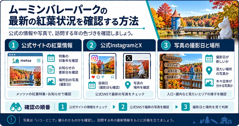 ムーミンバレーパークの最新の紅葉状況を確認する方法