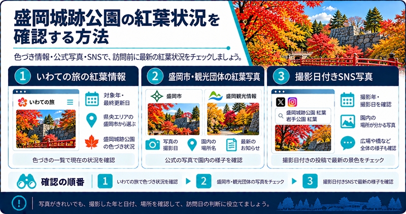 盛岡城跡公園の紅葉状況を確認する方法