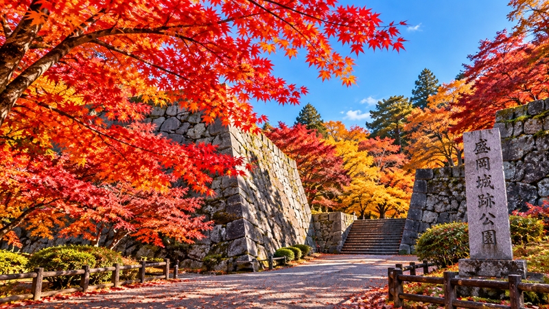 盛岡城跡公園の紅葉シーズンの見頃時期はいつからいつまで?