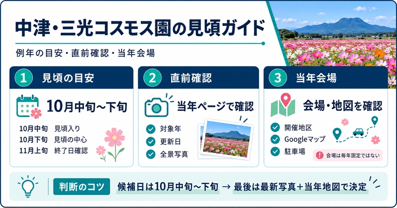 中津・三光コスモス園は例年10月中旬〜下旬が見頃の目安