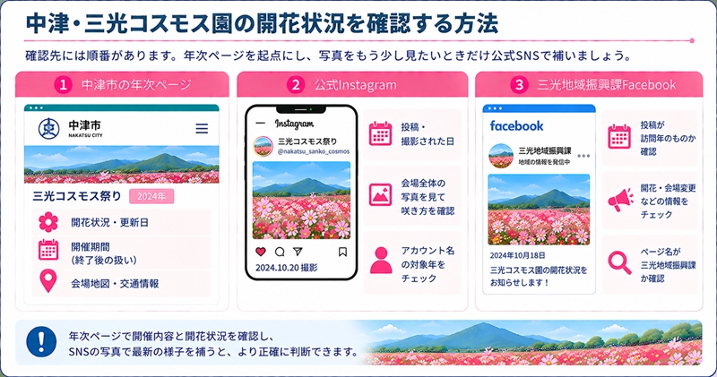 中津・三光コスモス園の開花状況を確認する方法