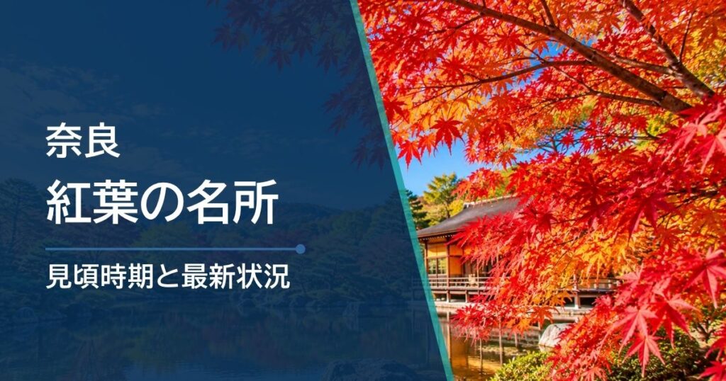 奈良の紅葉時期は？10月・11月・12月の候補を比較