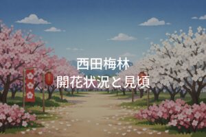 西田梅林の開花状況と見頃はいつ？梅まつり開催情報も紹介