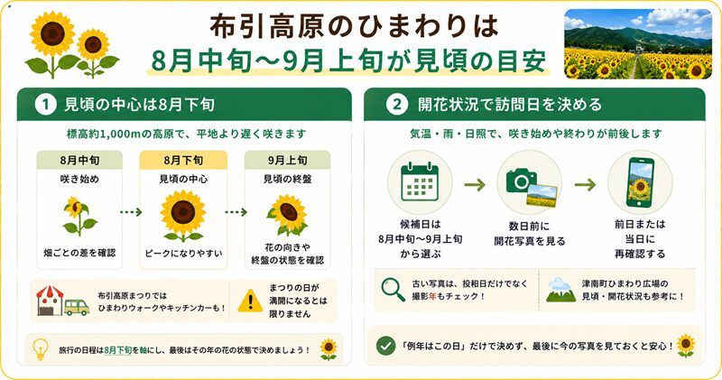 結論：布引高原のひまわりは8月中旬〜9月上旬が見頃の目安
