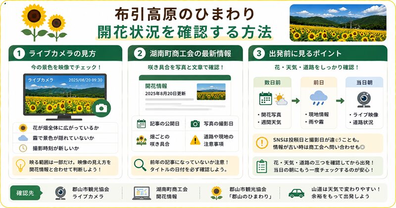布引高原のひまわり開花状況を確認する方法