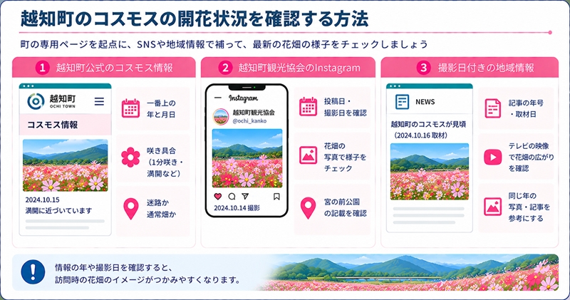 越知町のコスモスの開花状況を確認する方法